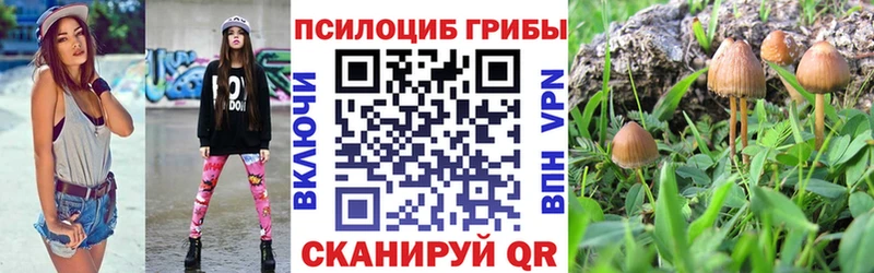 где найти наркотики  Нижний Новгород  ссылка на мегу как войти  Галлюциногенные грибы GOLDEN TEACHER 